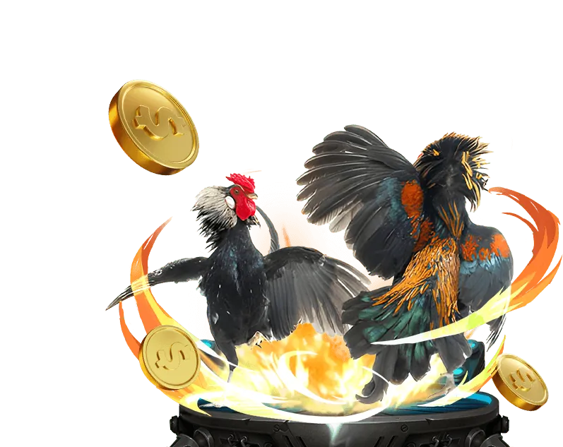 Trung tâm kiến thức Win365 Casino